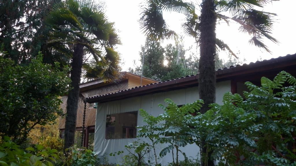 El Rincon Eco Hotel Los Ángeles Eksteriør billede