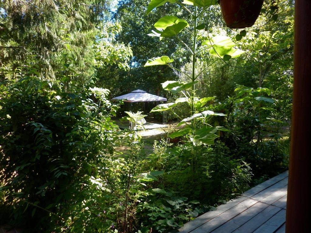El Rincon Eco Hotel Los Ángeles Eksteriør billede
